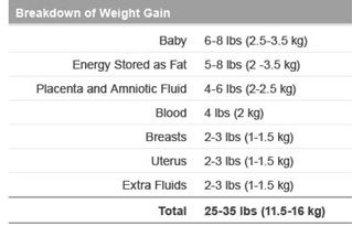 Healthy Pregnancy - Breakdown of Weight Gain