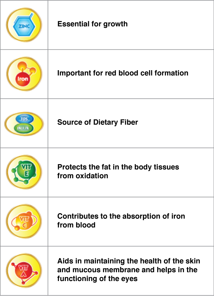 Importance Of DHA - Supports brain development & function