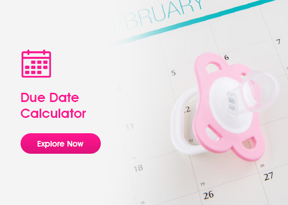 Due Date Calculator